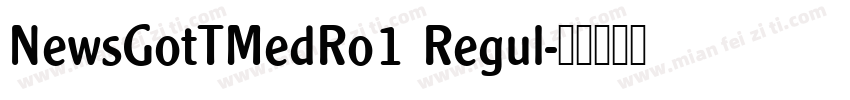 NewsGotTMedRo1 Regul字体转换